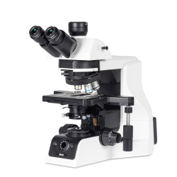 PA53 BIO 