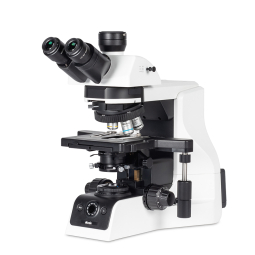 PA53 BIO 