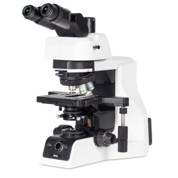 PA53 BIO Pathology