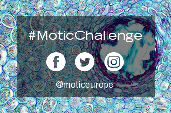 New Motic Challenge
