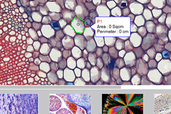 Motic Images Plus 3.0 – a fresh approach for a powerful microscopy software