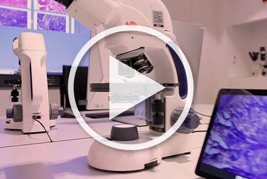 New MoticNet Video Tutorials Now Available