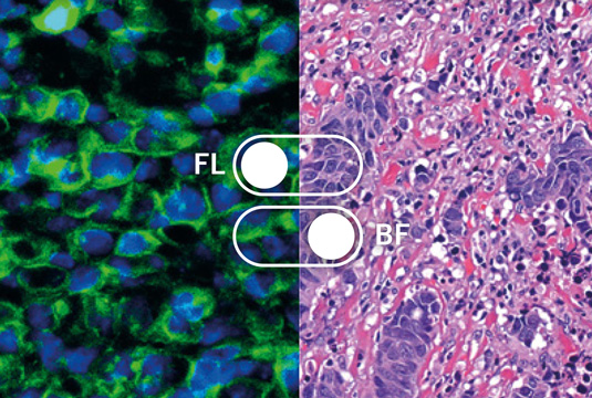 MoticFlexScan – One Platform, Total Imaging Flexibility