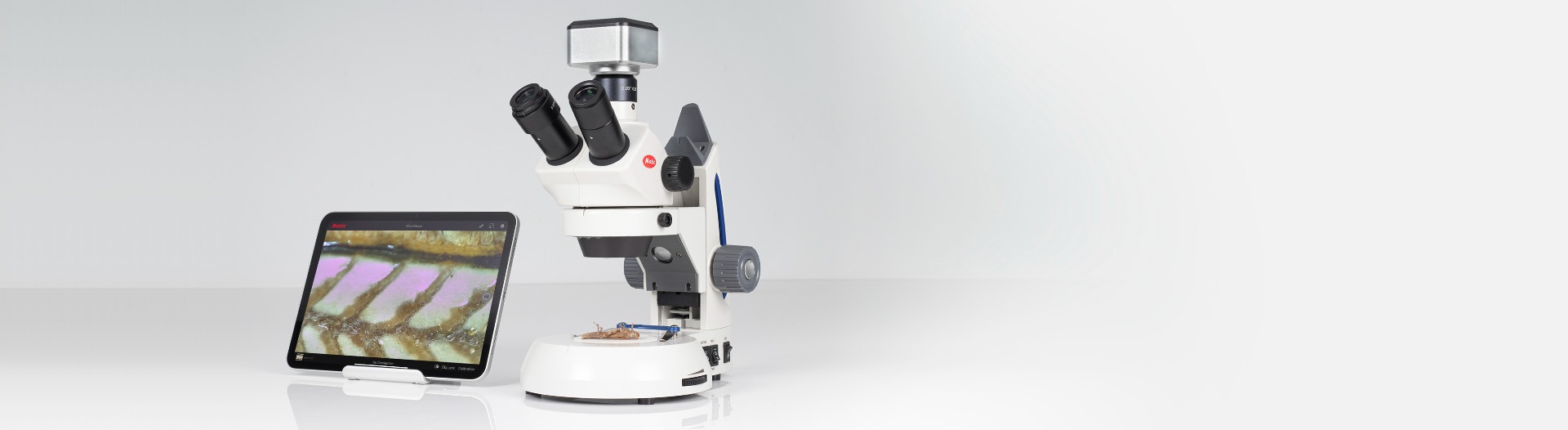 New SILVER39Z-T stereo microscope