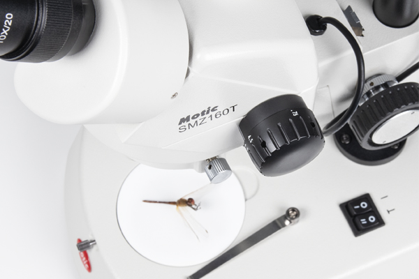 Motic stereomicroscope SMZ160